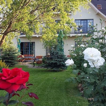 Tîrgu Secuiesc Villa Westfalia Guest House מראה חיצוני תמונה